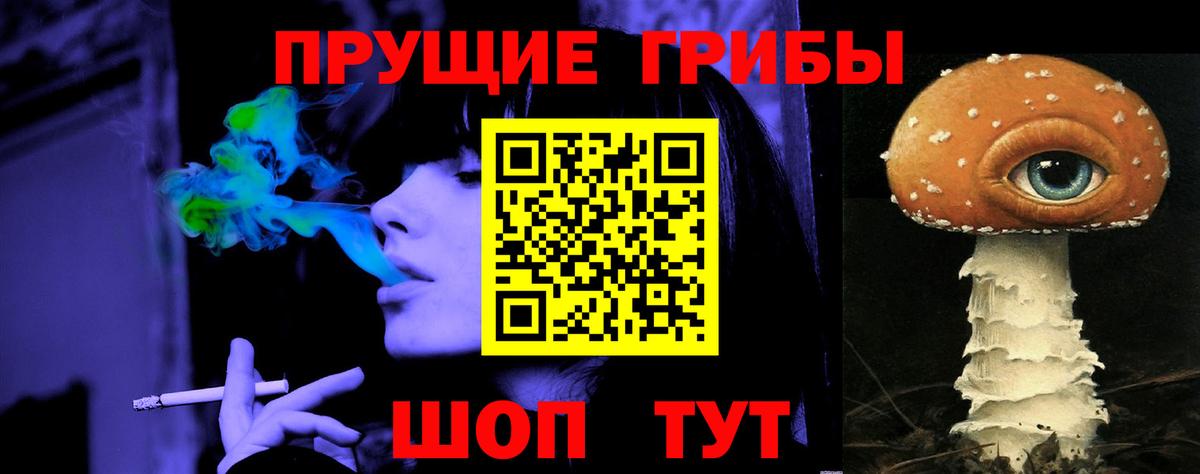 Галлюциногенные грибы Psilocybine cubensis  Вход с VPN  Верхняя Салда 